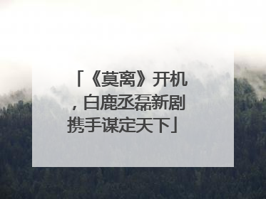 《莫离》开机，白鹿丞磊新剧携手谋定天下