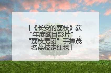 《长安的荔枝》获“年度瞩目影片”，“荔枝男团”手捧茂名荔枝走红毯