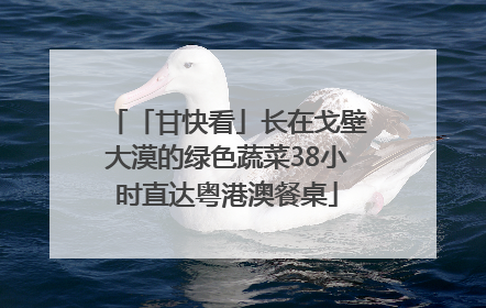 「甘快看」长在戈壁大漠的绿色蔬菜38小时直达粤港澳餐桌