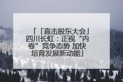 「直击股东大会」四川长虹：正视“内卷”竞争态势 加快培育发展新动能