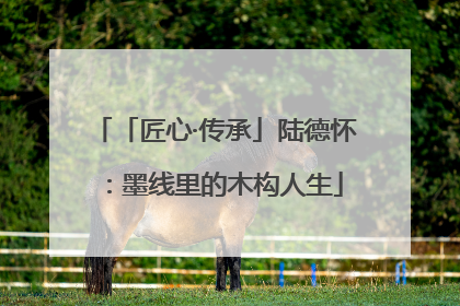 「匠心·传承」陆德怀：墨线里的木构人生