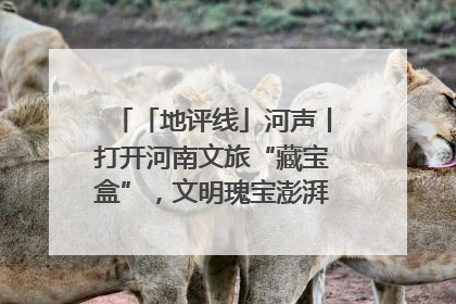 「地评线」河声丨打开河南文旅“藏宝盒”，文明瑰宝澎湃发展“豫动能”