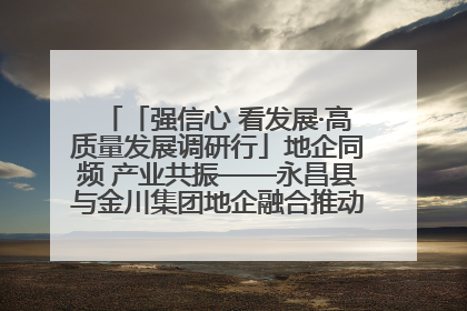 「强信心 看发展·高质量发展调研行」地企同频 产业共振——永昌县与金川集团地企融合推动重大项目建设