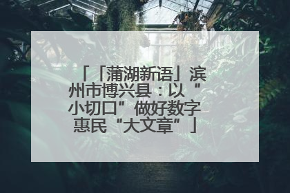 「蒲湖新语」滨州市博兴县：以“小切口”做好数字惠民“大文章”