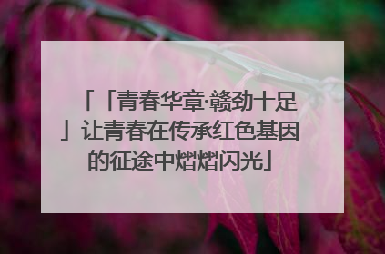 「青春华章·赣劲十足」让青春在传承红色基因的征途中熠熠闪光