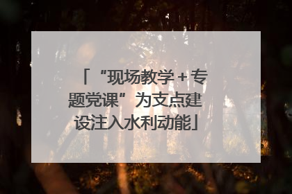 “现场教学＋专题党课”为支点建设注入水利动能