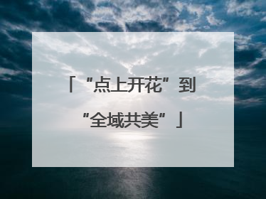 “点上开花”到“全域共美”