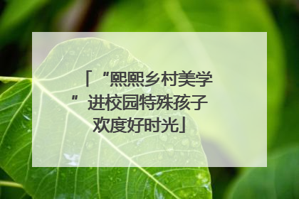 “熙熙乡村美学”进校园特殊孩子欢度好时光