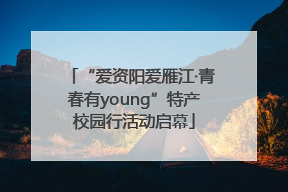 “爱资阳爱雁江·青春有young”特产校园行活动启幕
