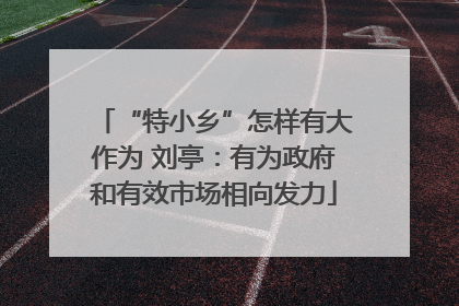 “特小乡”怎样有大作为 刘亭：有为政府和有效市场相向发力