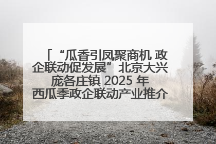 “瓜香引凤聚商机 政企联动促发展”北京大兴庞各庄镇 2025 年西瓜季政企联动产业推介活动圆满举行