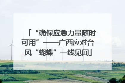 “确保应急力量随时可用”——广西应对台风“蝴蝶”一线见闻