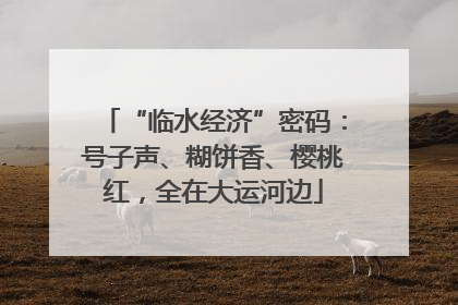 “临水经济”密码：号子声、糊饼香、樱桃红，全在大运河边
