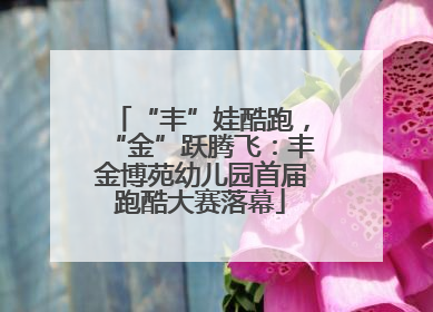 “丰”娃酷跑，“金”跃腾飞：丰金博苑幼儿园首届跑酷大赛落幕