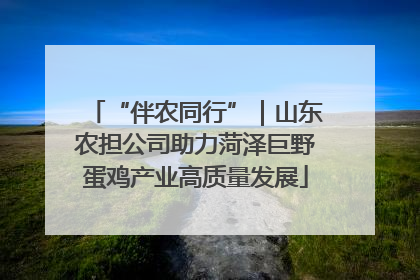“伴农同行”｜山东农担公司助力菏泽巨野蛋鸡产业高质量发展