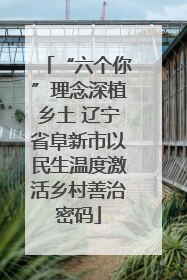 “六个你”理念深植乡土 辽宁省阜新市以民生温度激活乡村善治密码
