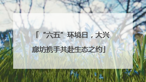 “六五”环境日，大兴廊坊携手共赴生态之约