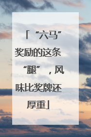 “六马”奖励的这条“腿”，风味比奖牌还厚重
