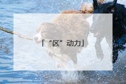 “区”动力