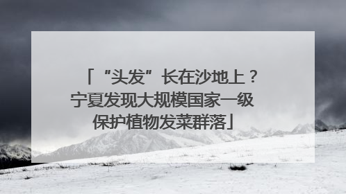 “头发”长在沙地上？宁夏发现大规模国家一级保护植物发菜群落
