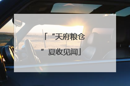 “天府粮仓”夏收见闻