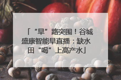 “旱”路突围！谷城盛康智能旱直播：缺水田“喝”上高产水