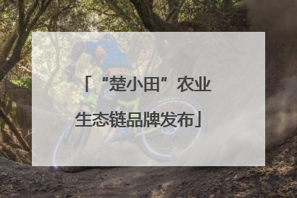 “楚小田”农业生态链品牌发布