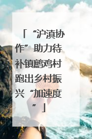 “沪滇协作”助力待补镇鹧鸡村跑出乡村振兴“加速度”
