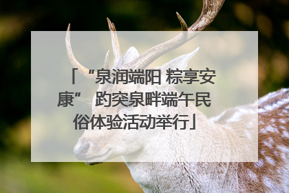 “泉润端阳 粽享安康” 趵突泉畔端午民俗体验活动举行