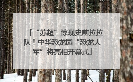 “苏超”惊现史前拉拉队！中华恐龙园“恐龙大军”将亮相开幕式