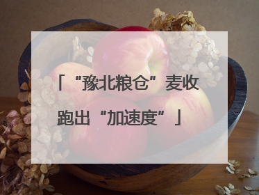 “豫北粮仓”麦收跑出“加速度”