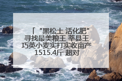 “黑松土 活化肥”寻找最美粮王 莘县王巧英小麦实打实收亩产1515.4斤 超对照田144斤！