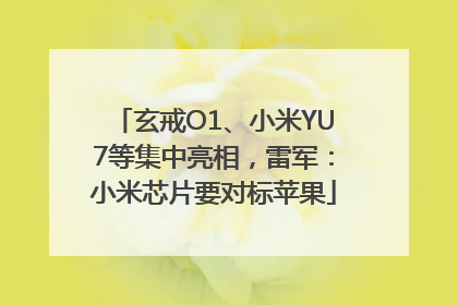 玄戒O1、小米YU7等集中亮相，雷军：小米芯片要对标苹果
