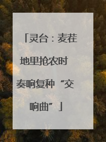 灵台：麦茬地里抢农时 奏响复种“交响曲”