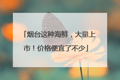 烟台这种海鲜，大量上市！价格便宜了不少