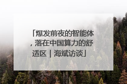 爆发前夜的智能体，落在中国算力的舒适区｜海斌访谈