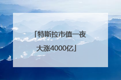 特斯拉市值一夜大涨4000亿