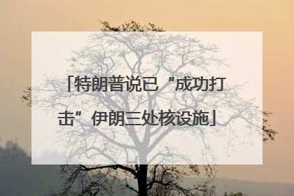 特朗普说已“成功打击”伊朗三处核设施