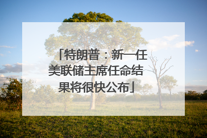 特朗普：新一任美联储主席任命结果将很快公布