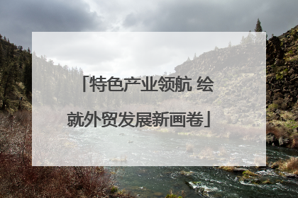 特色产业领航 绘就外贸发展新画卷