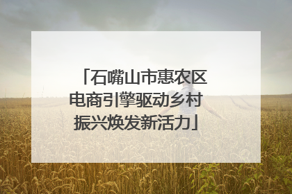 石嘴山市惠农区电商引擎驱动乡村振兴焕发新活力