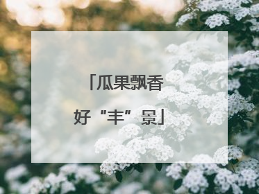 瓜果飘香 好“丰”景