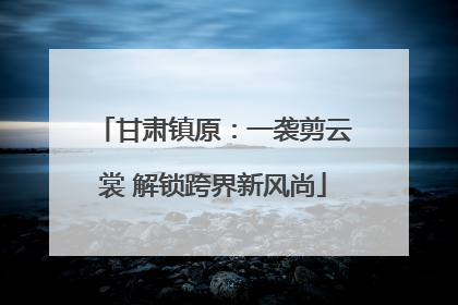 甘肃镇原：一袭剪云裳 解锁跨界新风尚