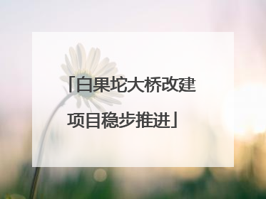 白果坨大桥改建项目稳步推进