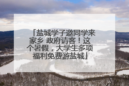 盐城学子邀同学来家乡 政府请客！这个暑假，大学生多项福利免费游盐城