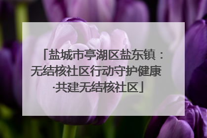 盐城市亭湖区盐东镇：无结核社区行动守护健康 ·共建无结核社区