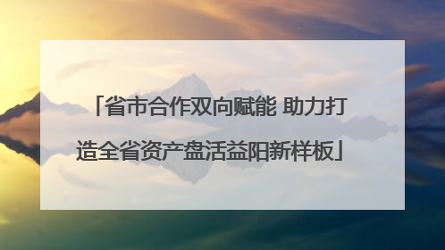 省市合作双向赋能 助力打造全省资产盘活益阳新样板