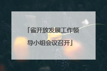 省开放发展工作领导小组会议召开