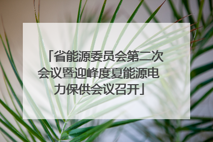省能源委员会第二次会议暨迎峰度夏能源电力保供会议召开