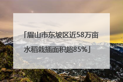 眉山市东坡区近58万亩水稻栽插面积超85%